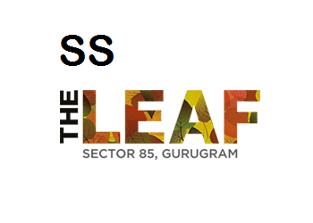 SS The Leaf